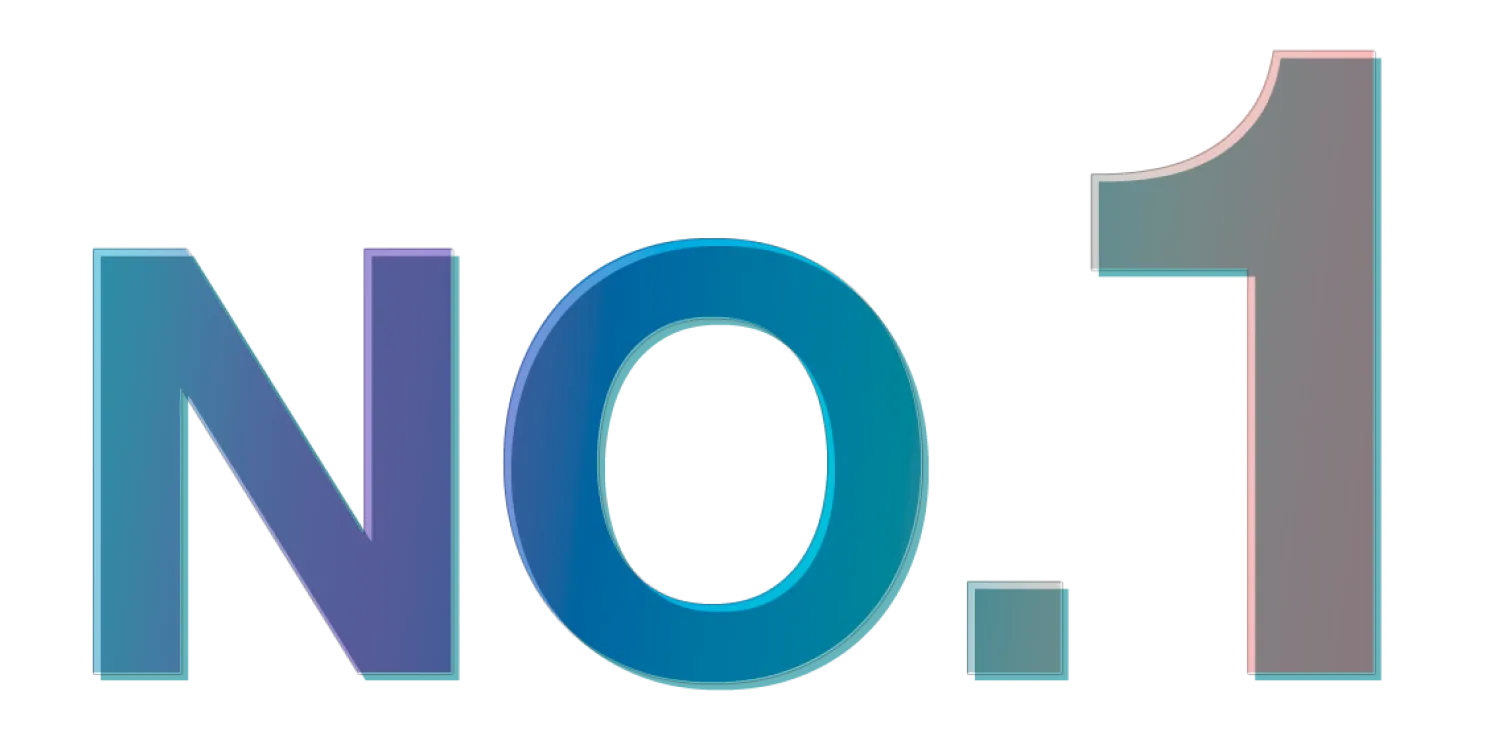 NO.1